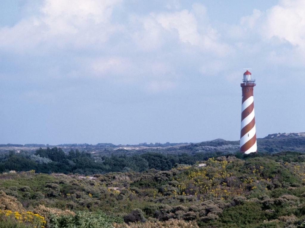 Landal Duinpark 'T Hof Van Haamstede 호텔 버그함스테드 외부 사진